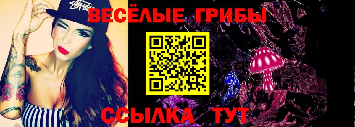 Галлюциногенные грибы GOLDEN TEACHER  Вход с VPN  Еманжелинск 