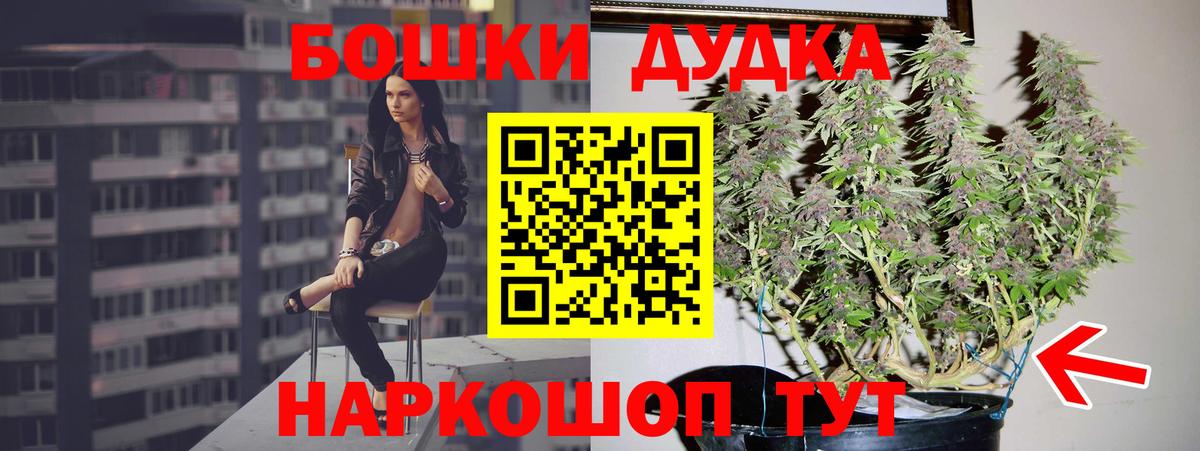 Шишки марихуана план  Бошки Шишки планчик  Вход с VPN  Бошки марихуана OG Kush  Еманжелинск 